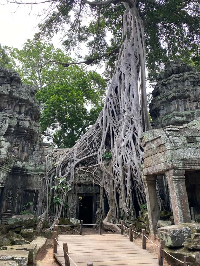 Siem Reap: Ultimate Angkor Wat Offbeat Experience by Jeep - Preah Palilay and the quieter side of Angkor