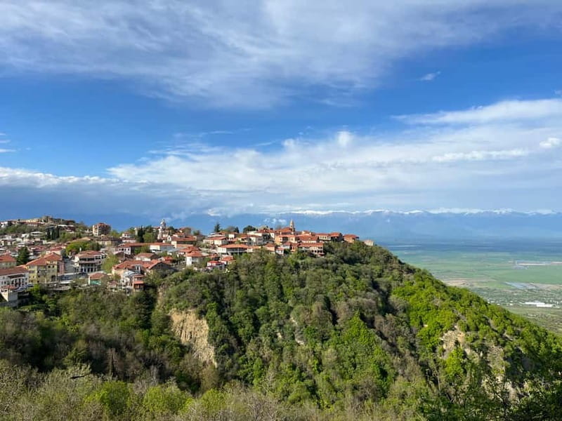 Sighnaghi Day Trip with wine tasting and Bodbe Monastery - The drive east from Tbilisi