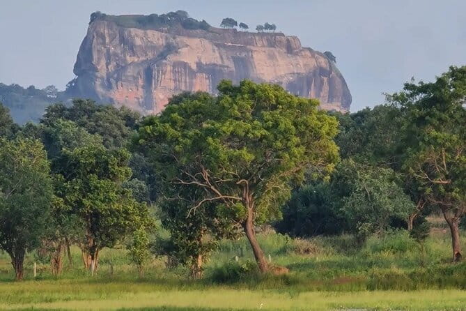 Sigiriya & Dambulla Cave Temple Day Trip from Colombo - Dambulla Cave Temple: sacred art above the town
