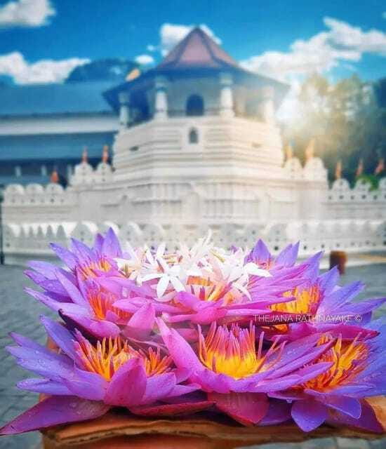 Sigiriya To Kandy Private Transfer: Visit Dambulla Temple - Who will enjoy this route most