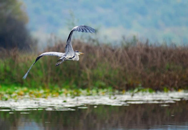 Skadar lake cruise - Virpazar - Kom monastery - Virpazar - What the $37 price really covers