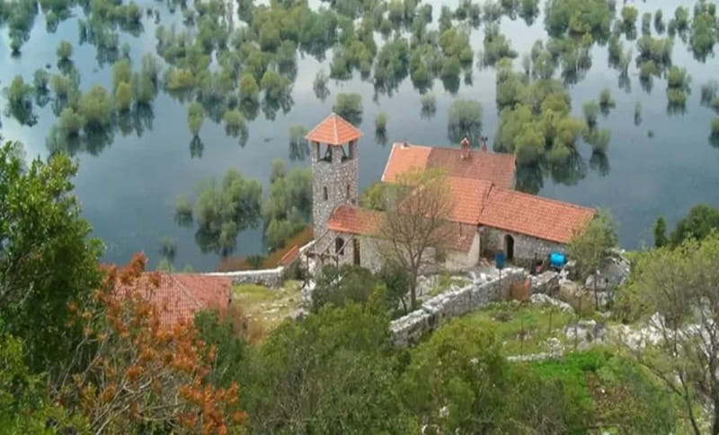 Skadar lake cruise - Virpazar - Kom monastery - Virpazar - Open water, lilies, and Skadar Lake wildlife