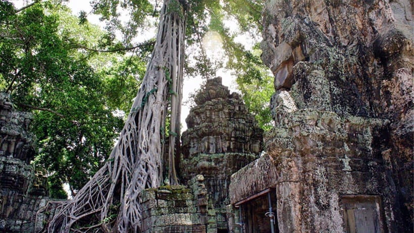 Small-Group Explore Angkor Wat Sunrise Tour with Guide - Key points before you book