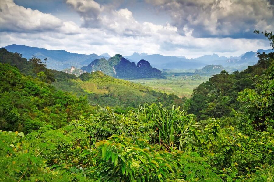 Sok River: Bamboo Raft Ride, Monkey Temple & View Point Tour - The Sok River bamboo raft ride