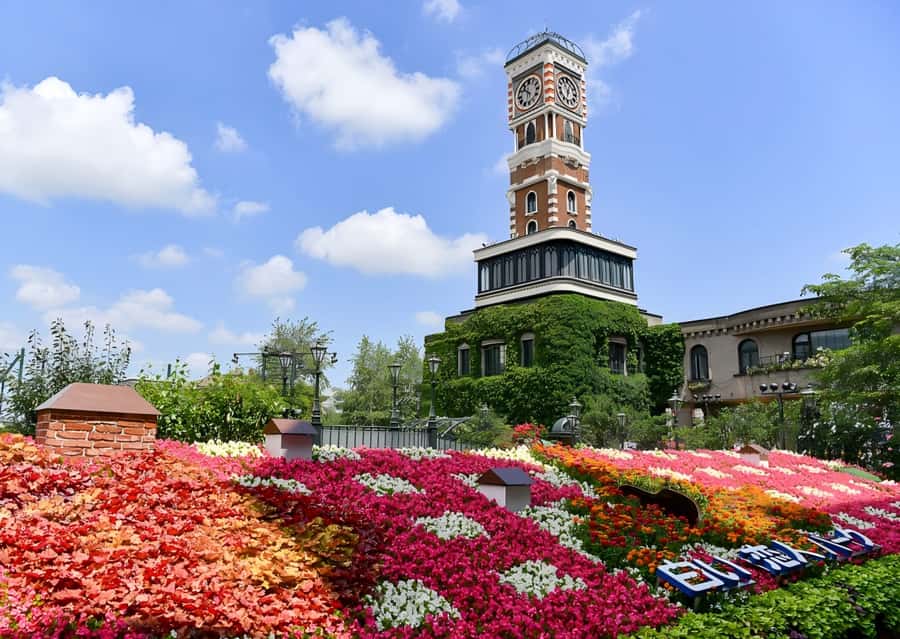 Sopporo: Hokkaido Shrine and Atama Daibutsu Full-Day Tour - Seafood, shopping, and your flexible lunch break