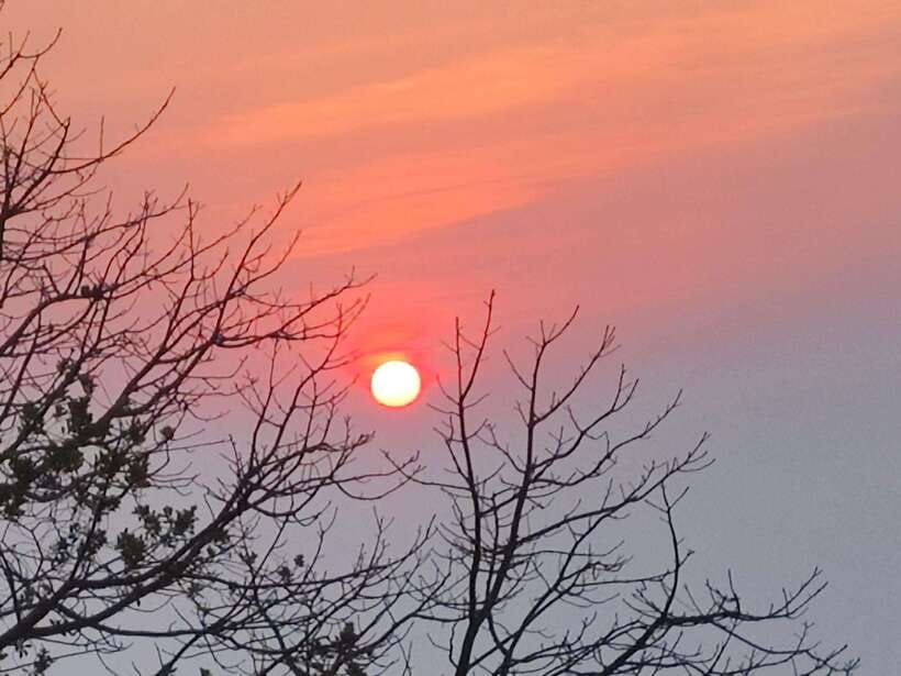Spiritual Sunrise Wat Doi Suthep, Pha Lat, Alms & Meditation - Key points to know before booking