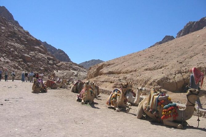 St Catherine Monastery and Mt Sinai Sunrise Tour from Dahab - Watching sunrise from the summit