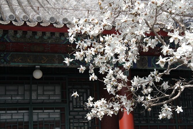 Summer Palace Ticket with optional Guided Tour - Starting at East Gongmen and getting oriented