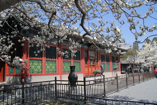 Summer Palace Ticket with optional Guided Tour - Kunming Lake: the palace’s broadest view