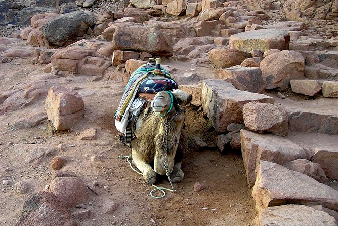 Sunrise at Mt.Sinai and St.Catherine monastery. Entrance included - The overnight drive from Sharm el Sheikh