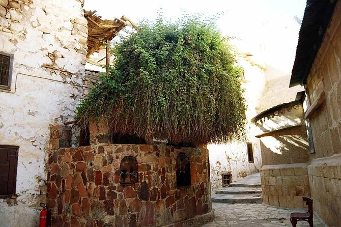 Sunrise at Mt.Sinai and St.Catherine monastery. Entrance included - St. Catherine’s Monastery after the descent