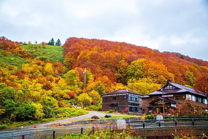 Takayama Inari Shrine Tour with Private Transportation - Who should book this Aomori outing