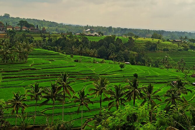 Tanah Lot Tour: Discover Bali’s Iconic Temple and Stunning Views - Lake Beratan and Ulun Danu Temple