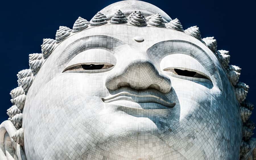 Temple and Jungle Trekking tour with Lunch at Farm-to-Table - Should you book this jungle and temple tour?