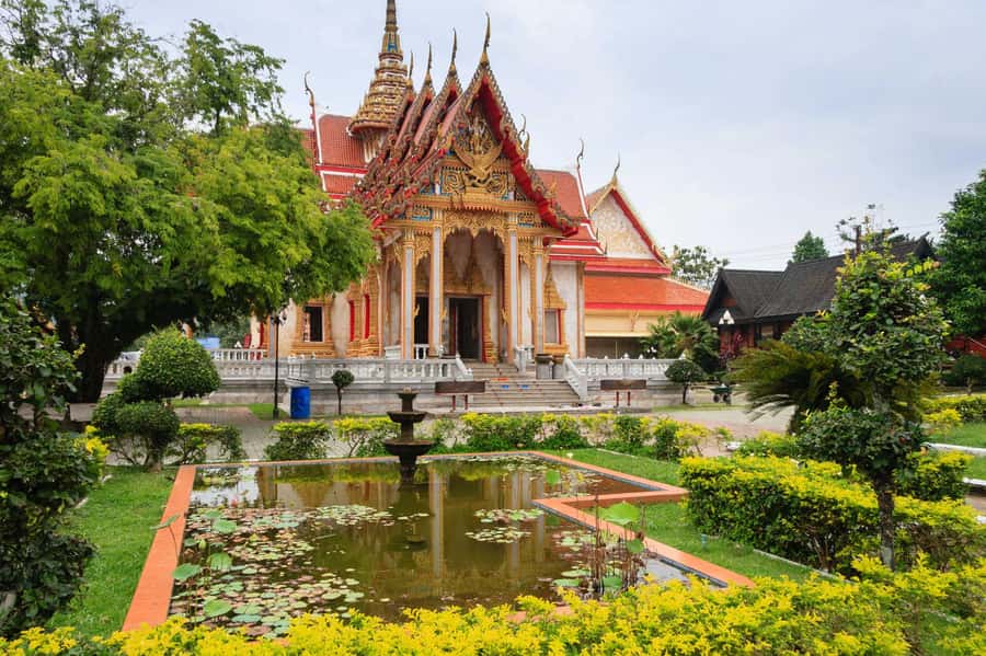 Temple and Jungle Trekking tour with Lunch at Farm-to-Table - Who will enjoy this Phuket tour most