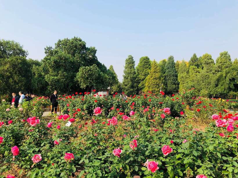 Temple of Heaven Ticket - Is the price good value?