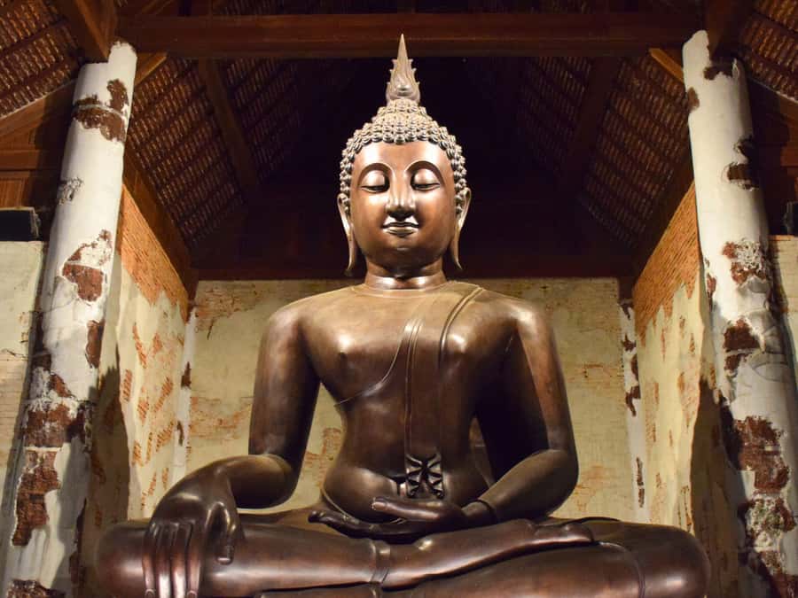 The Souls BKK: Floating Market, Dragon Temple, Na Satta Park - Should you book the Souls BKK day trip?