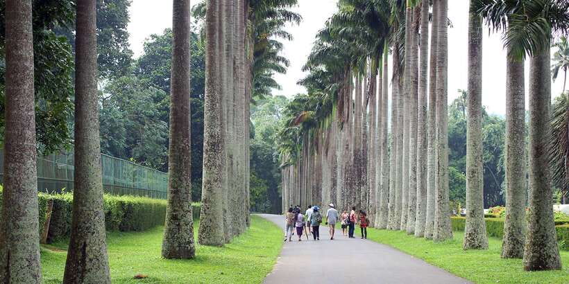 Three Temples Loop In Kandy Day Tour By Tuk Tuk - Why this tuk tuk route works well around Kandy