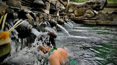 Tirta Empul: Temple Tour with Optional Spiritual Cleansing