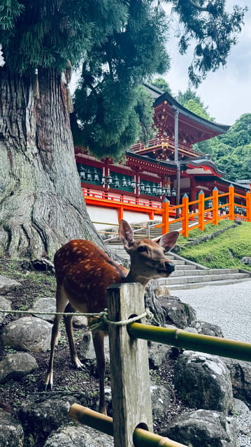 Todaiji Temple, Kasuga Shrine and Nara Park Guided Full Tour - Starting at Kintetsu Nara Station