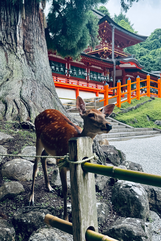Todaiji Temple, Kasuga Shrine and Nara Park Guided Full Tour - Ukimido Pavilion at Sagi Pond