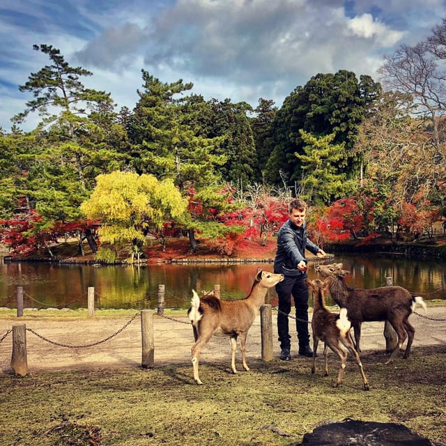 Todaiji Temple, Kasuga Shrine and Nara Park Guided Full Tour - Kofukuji and the final temple stop