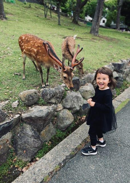 Todaiji Temple, Kasuga Shrine and Nara Park Guided Full Tour - Lunch, walking, and what to bring