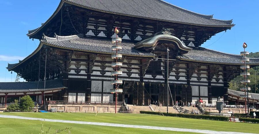 Todaiji Temple, Kasuga Shrine and Nara Park Guided Full Tour - Nara Park and the deer