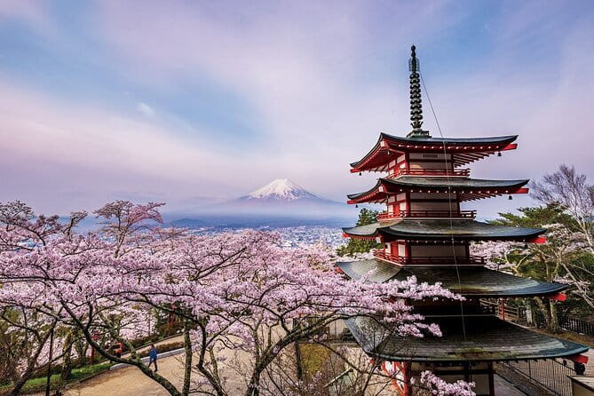 Tokyo: Asakusa Temple & Shrine Walking Tour with Local Guide - Nakamise Street: snacks, souvenirs, and useful advice