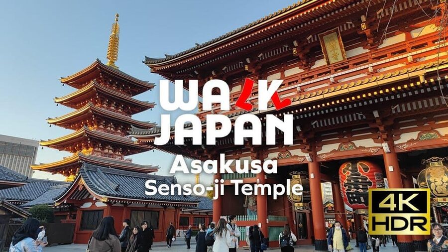Tokyo Full-Day Tour Skytree Meiji Shrine With English Driver - What this Tokyo day is really designed to do