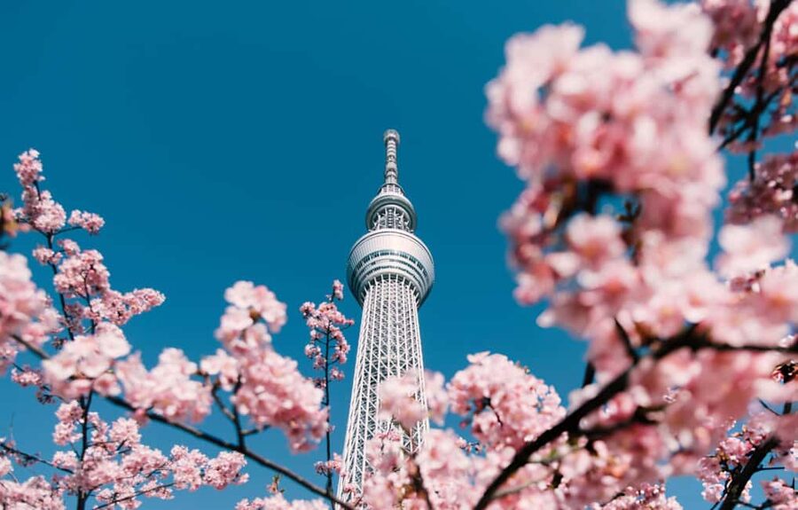 Tokyo Full-Day Tour Skytree Meiji Shrine With English Driver - Takeshita Street and Meiji Shrine: Harajuku’s two faces