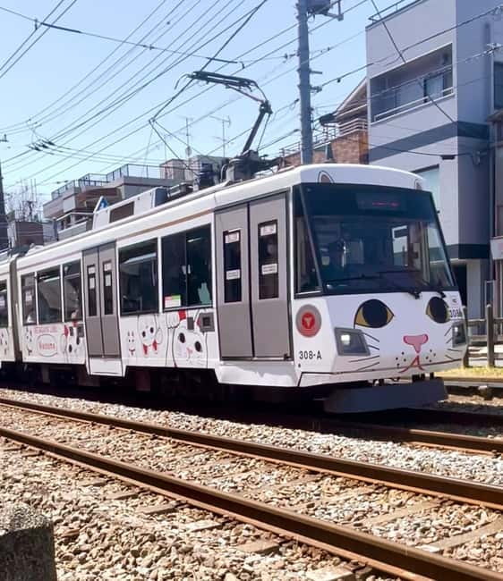 Tokyo: Gotokuji Cat Temple, Shinjuku Cat Cafe & 3D Cat Tour - The train ride from Shinjuku to Gotokuji