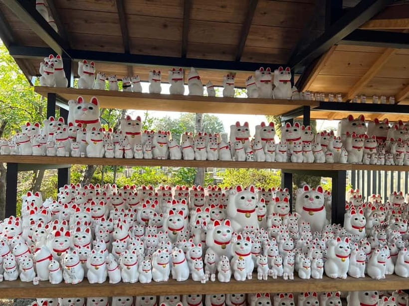 Tokyo: Gotokuji Culture Walk & Lucky Cat Temple Experience - The 25-minute guided explanation of maneki neko