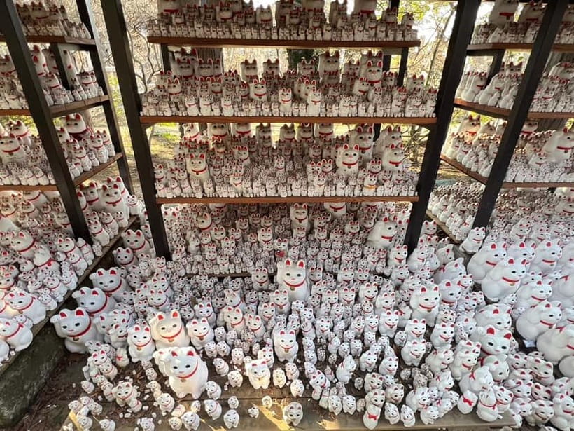 Tokyo: Gotokuji Culture Walk & Lucky Cat Temple Experience - The incense experience and cat-shaped sweet