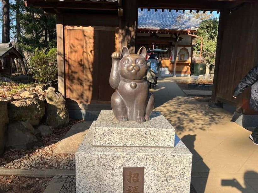 Tokyo: Gotokuji Culture Walk & Lucky Cat Temple Experience - Is $47 good value for 90 minutes?