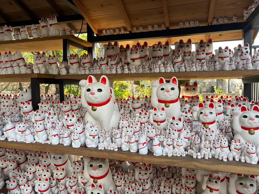 Tokyo: Gotokuji Culture Walk & Lucky Cat Temple Experience - Who will enjoy this Tokyo temple experience?