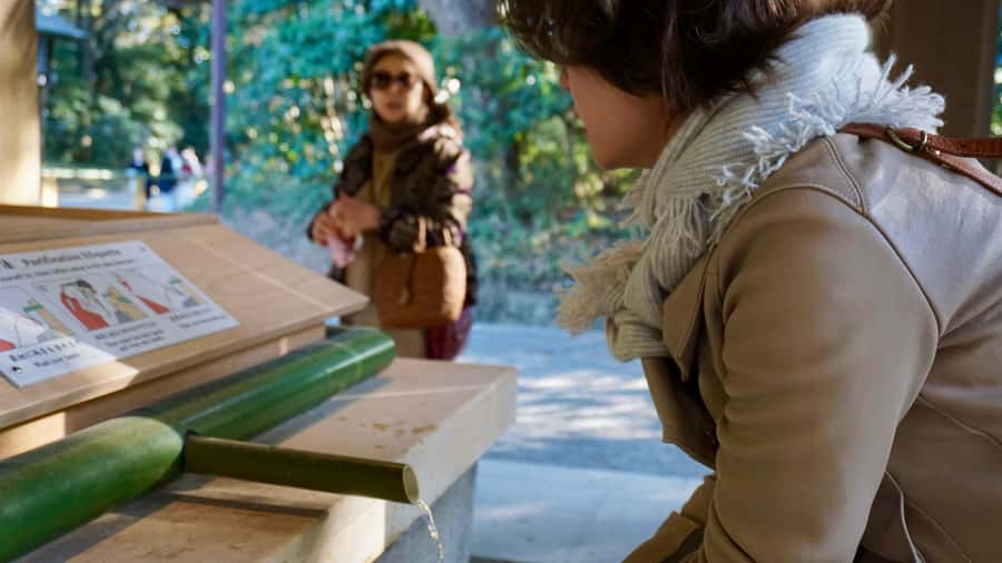 Tokyo: Harajuku Meiji Shrine Guided Tour-Discover Shinto - Who should pay $42 for this experience?