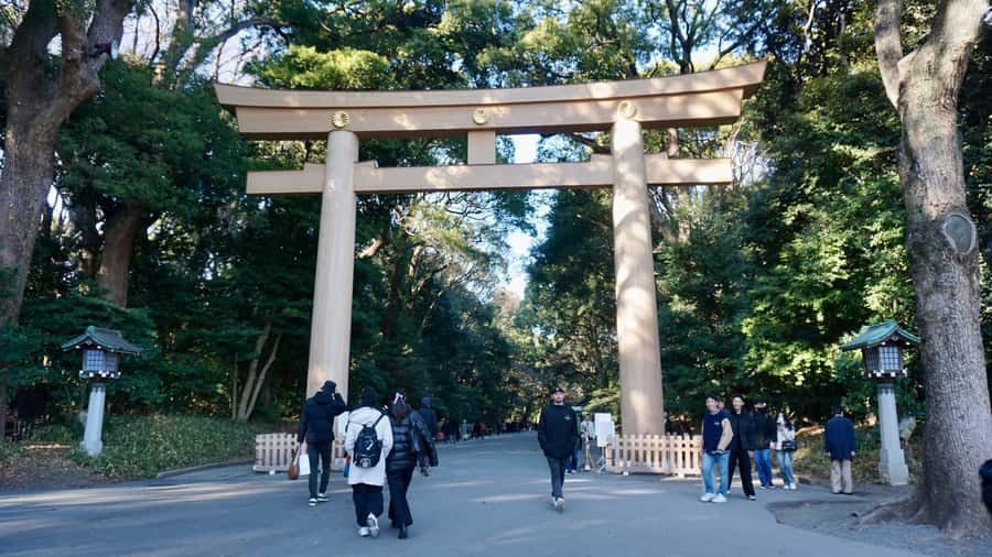 Tokyo: Harajuku Meiji Shrine Guided Tour-Discover Shinto - Walking through the torii and forest paths
