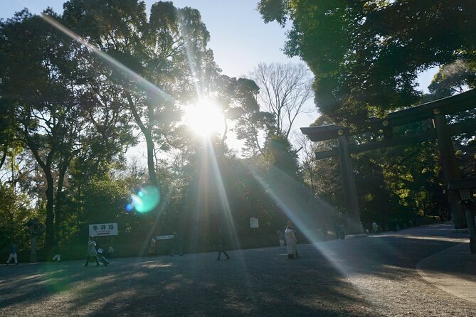 Tokyo: Harajuku Meiji Shrine to Shibuya Crossing Guided Tour - What the $78 price gives you