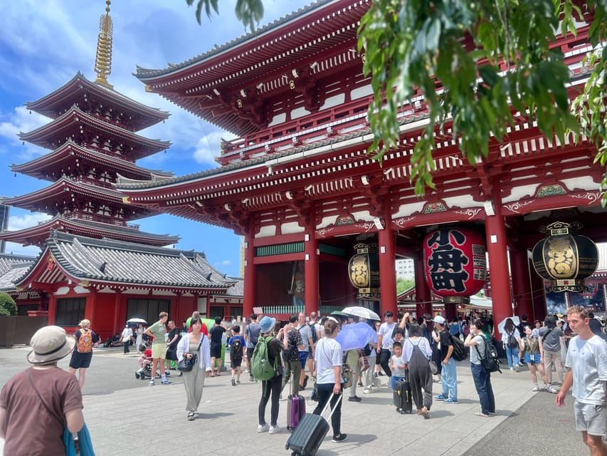 Tokyo: Meiji Jingu Shrine and Shinto Culture Walking Tour - The Big Torii and the meaning of the entrance