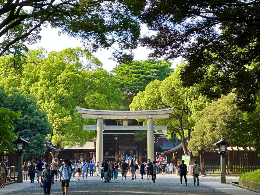 Tokyo: Meiji Jingu Shrine and Shinto Culture Walking Tour - Sake and wine barrels with a modern Japanese twist