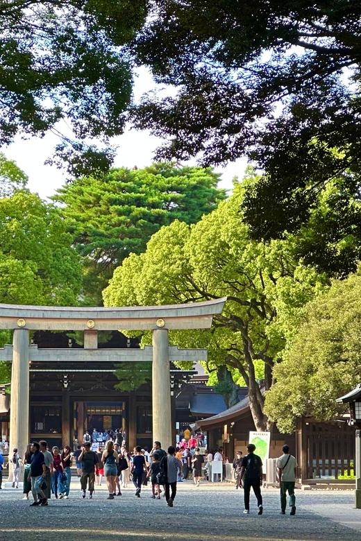 Tokyo: Meiji Jingu Shrine and Shinto Culture Walking Tour - How much value do you get for $19?