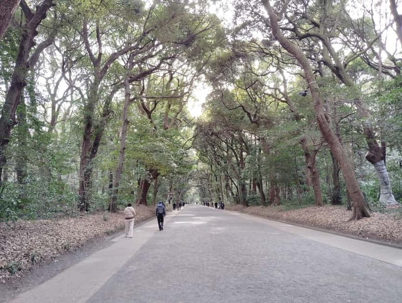 Tokyo: Meiji Jingu Shrine & Inner Garden Guided Tour (2h) - Shinen Garden, the South Pond, and Kiyomasa’s Well