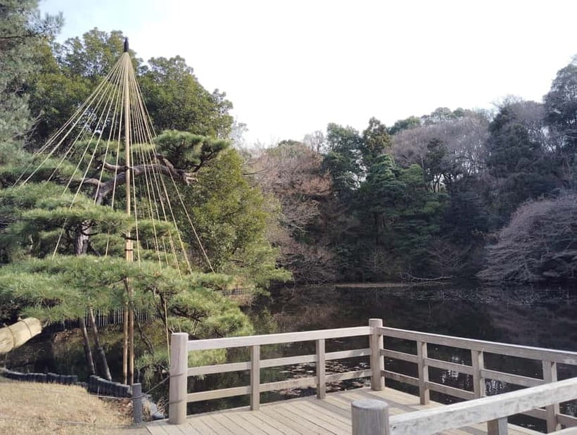 Tokyo: Meiji Jingu Shrine & Inner Garden Guided Tour (2h) - What $48 buys you