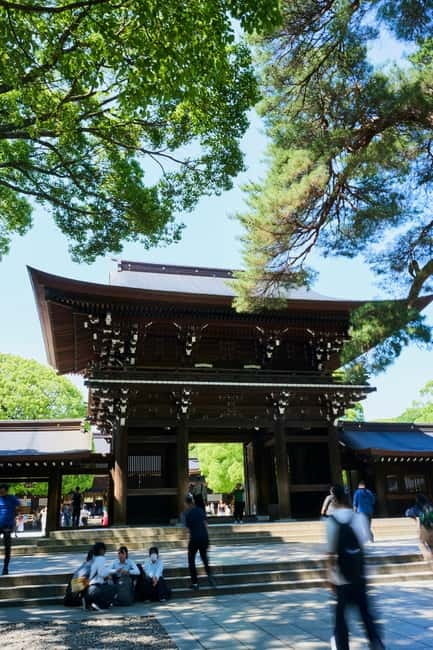 Tokyo: Meiji Shrine Walking Tour — Shinto & Imperial System - The first torii and the proper way to enter