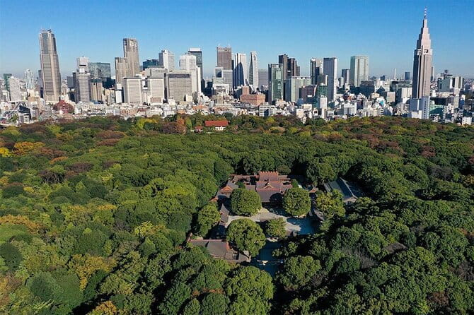 Tokyo: Meiji Shrine Walking Tour — Shintoism & Imperial System - Walking beneath the giant wooden torii