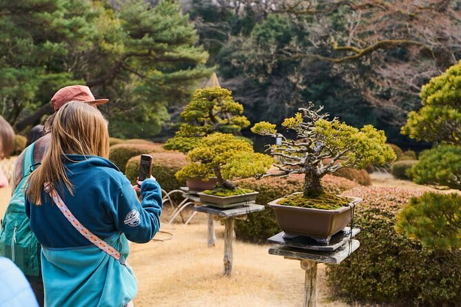 Tokyo: Meiji Shrine Walking Tour — Shintoism & Imperial System - Meeting at Harajuku Station