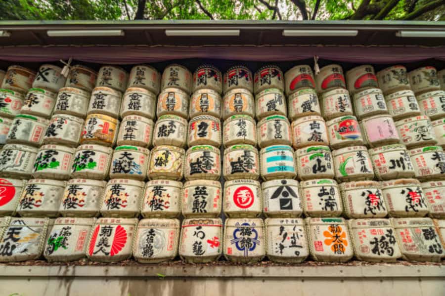 Tokyo: Meiji Shrine Walking Tour with Local Guide - Why Meiji Shrine Works Best With a Guide