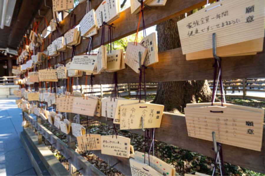 Tokyo: Meiji Shrine Walking Tour with Local Guide - Finishing Near the Bicycle Parking Area