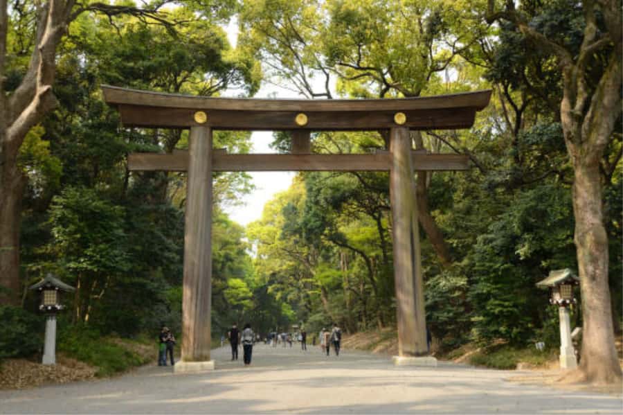 Tokyo: Meiji Shrine Walking Tour with Local Guide - Who Should Book This Walk
